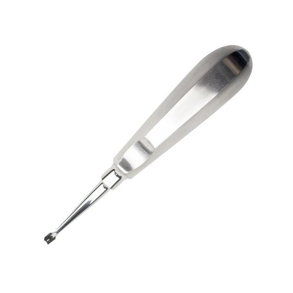 Economy 5mm Winged Dental Elevator, Stainless Steel WE5